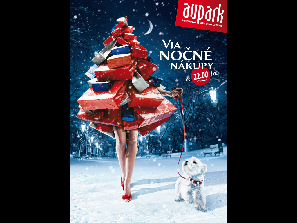 vianocne-nakupy_print.jpg