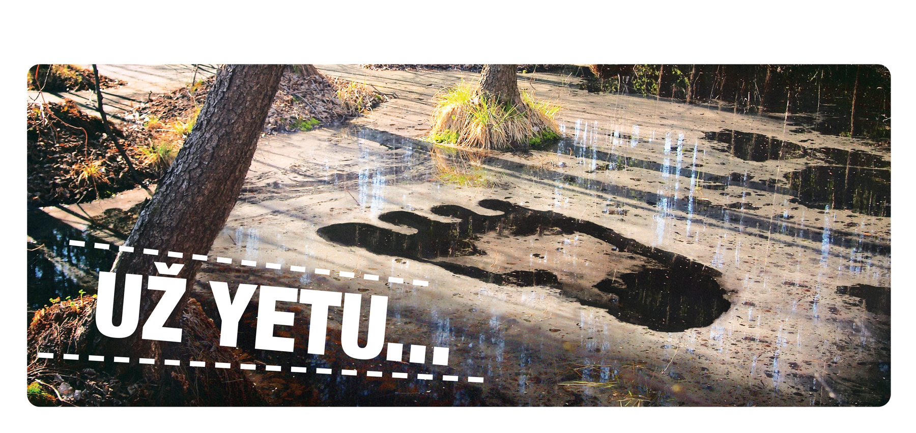 bilboard-yeti_2.jpg