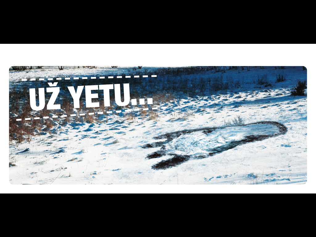 yeti-1.jpg