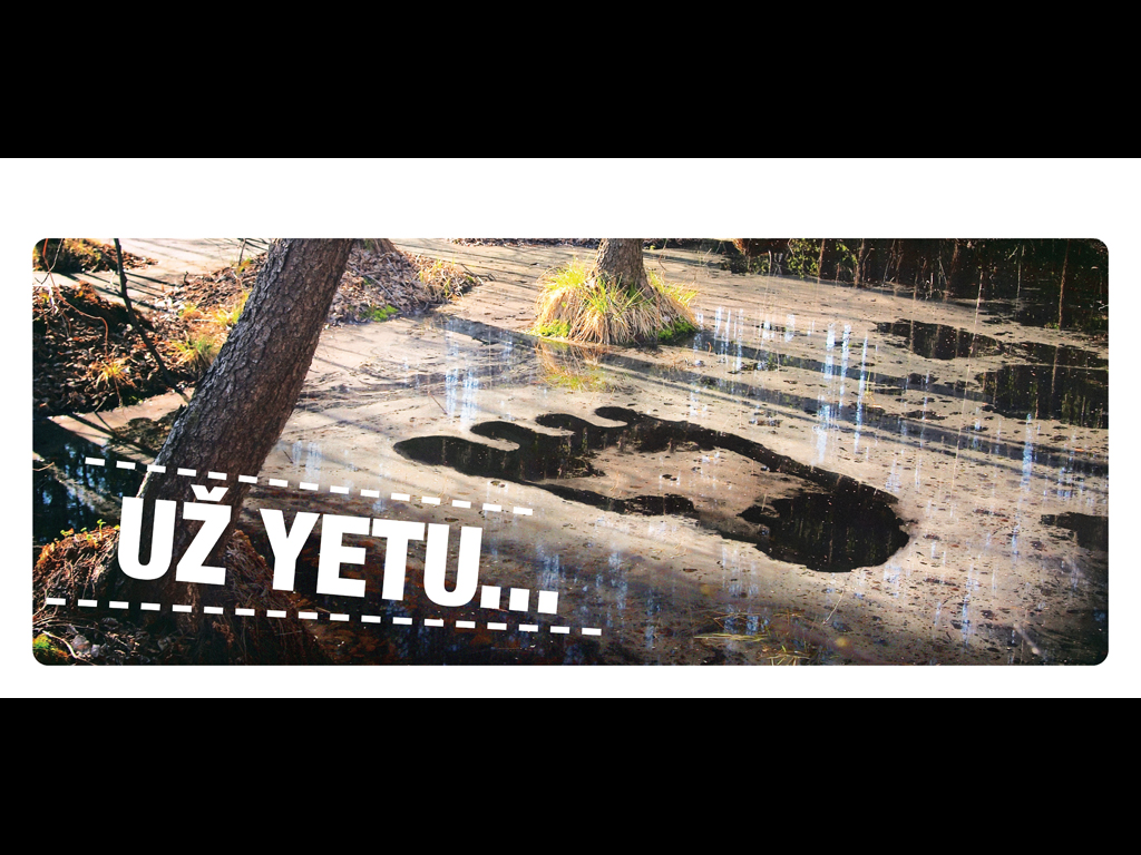 yeti-2.jpg