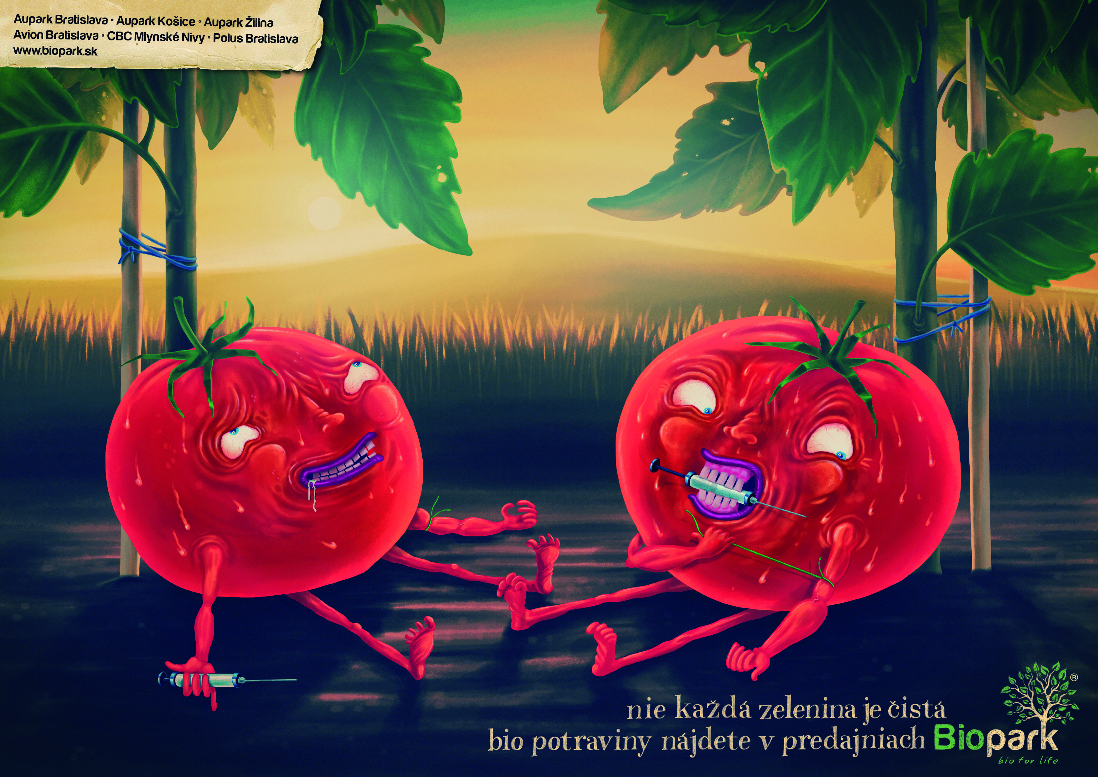 a1_biopark_paradajky_297x210.jpg