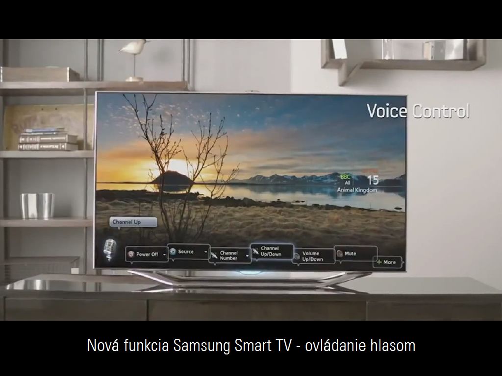 samsung-1.jpg
