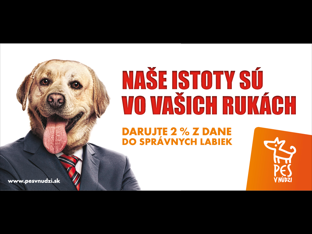 pes-v-nudzi-bb-1024x768-na-zk4.jpg