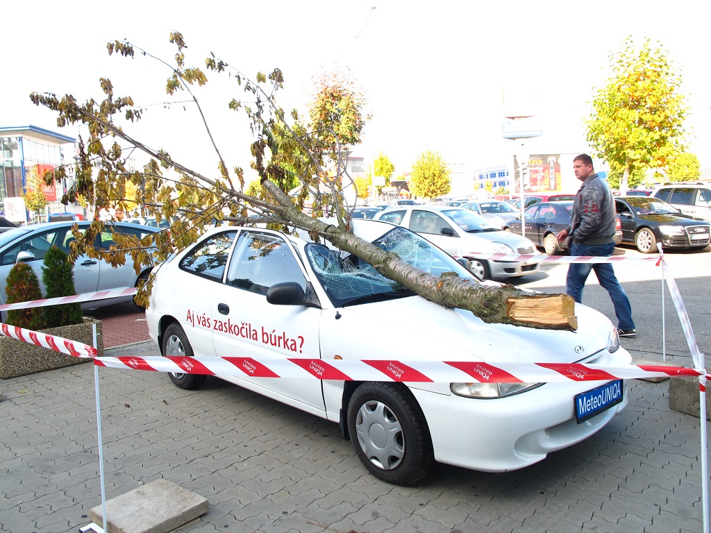 auto.jpg