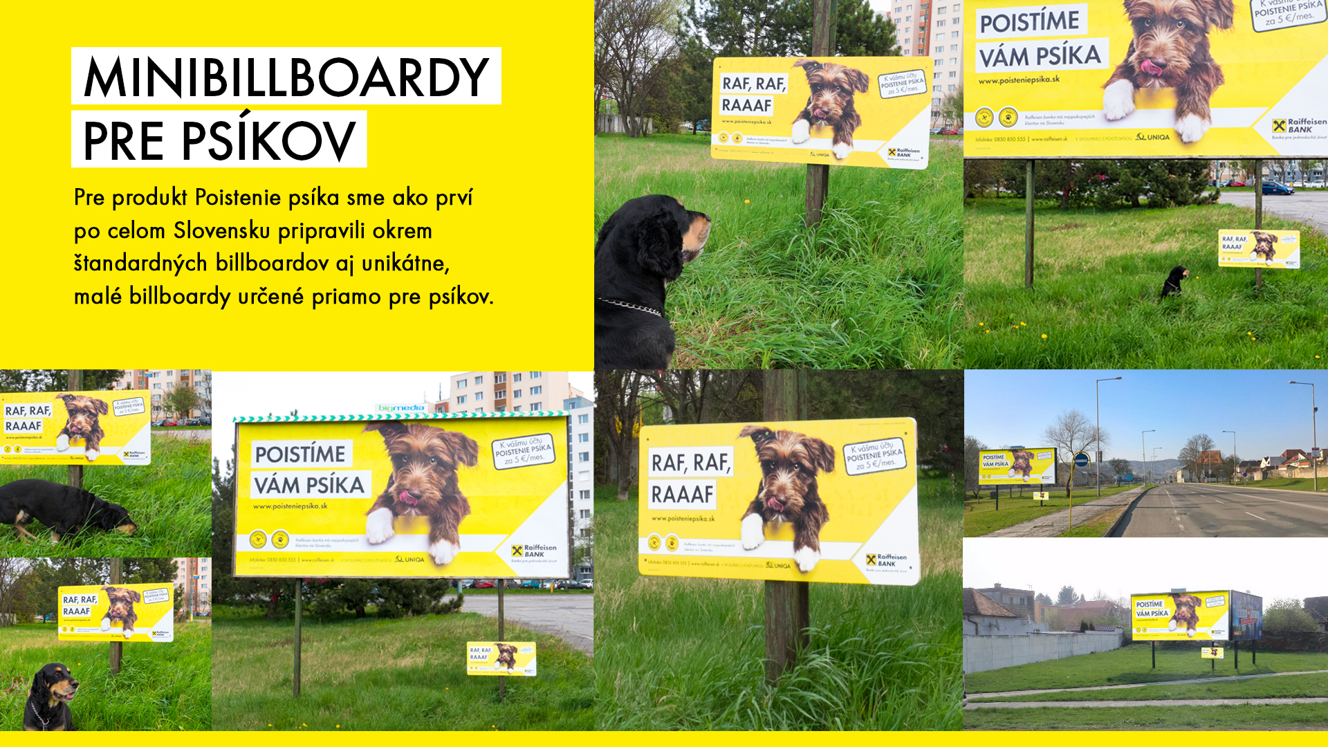 rb_bilbord-pre-psov.png