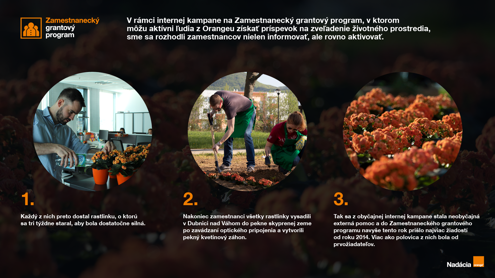 orange-kvetinovy-zahon.png