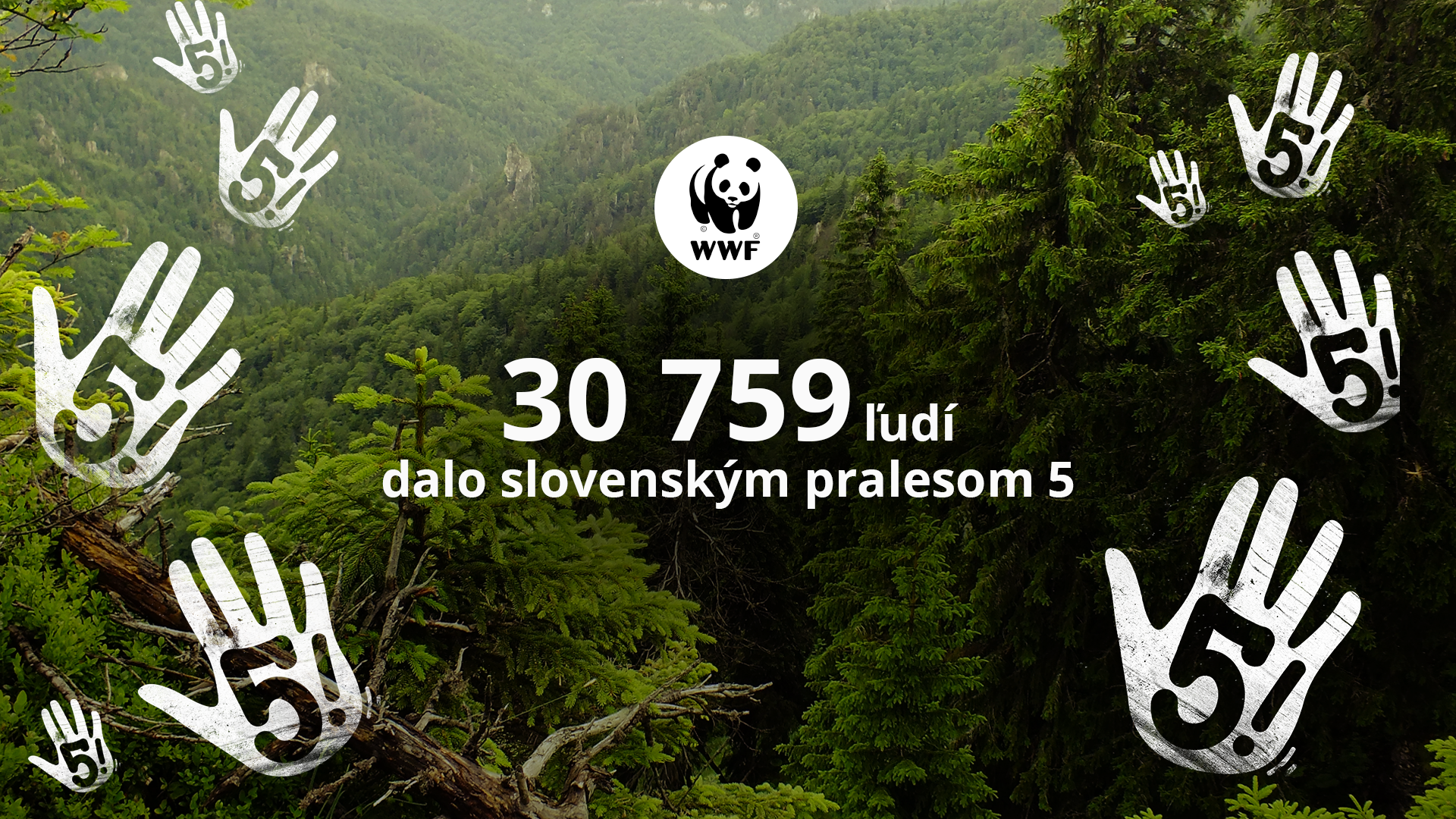 wwf-dajme-pralesom-5_moodboard.png