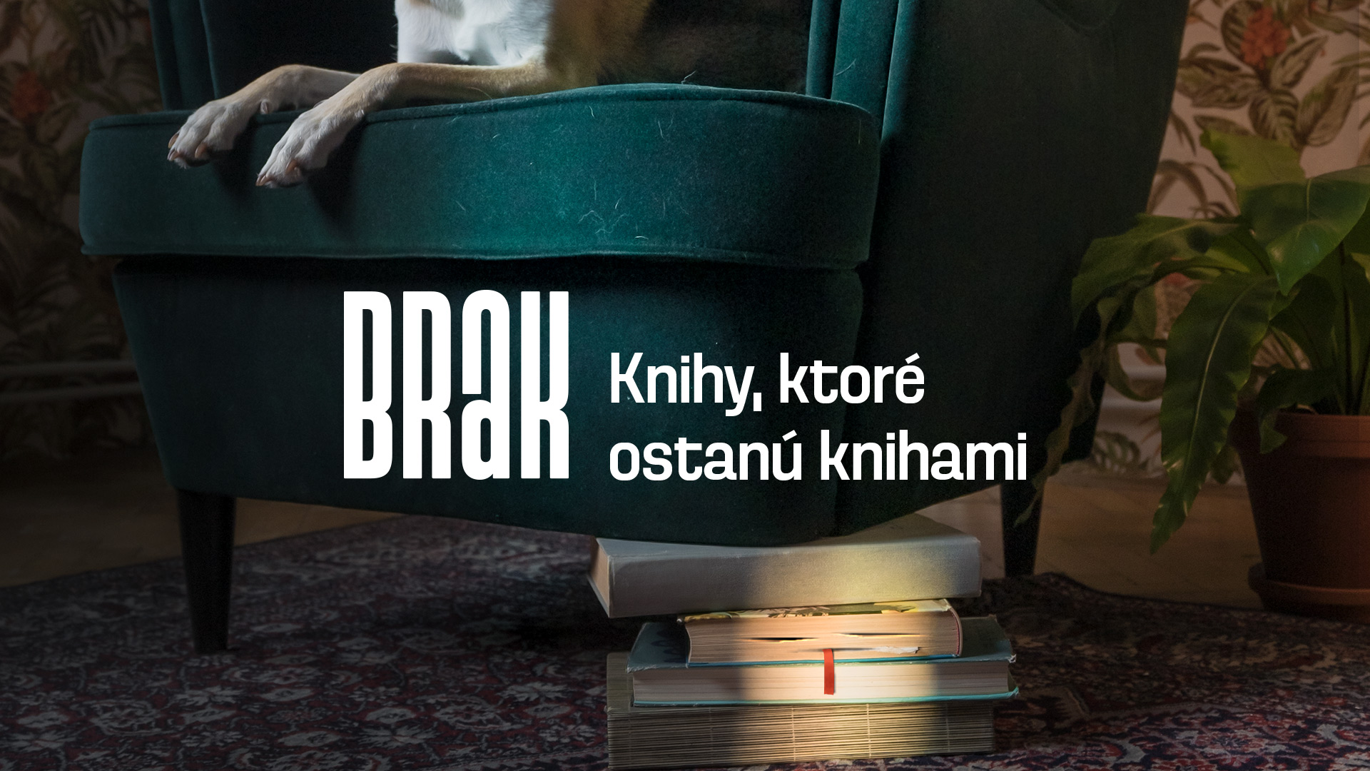 brak_vydavatelstvo_statistika.jpg