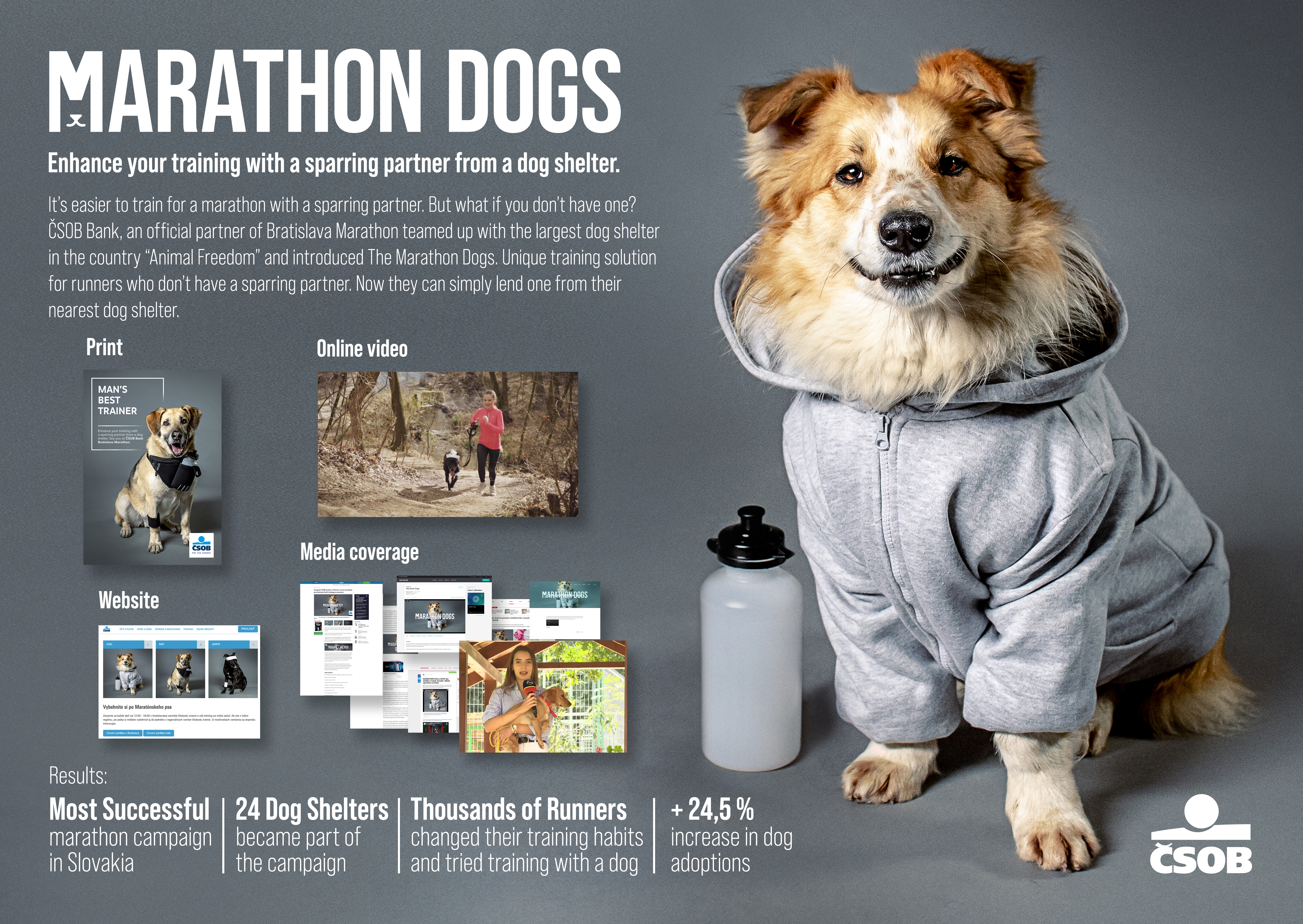 marathon-dogs_presentation_image.jpg
