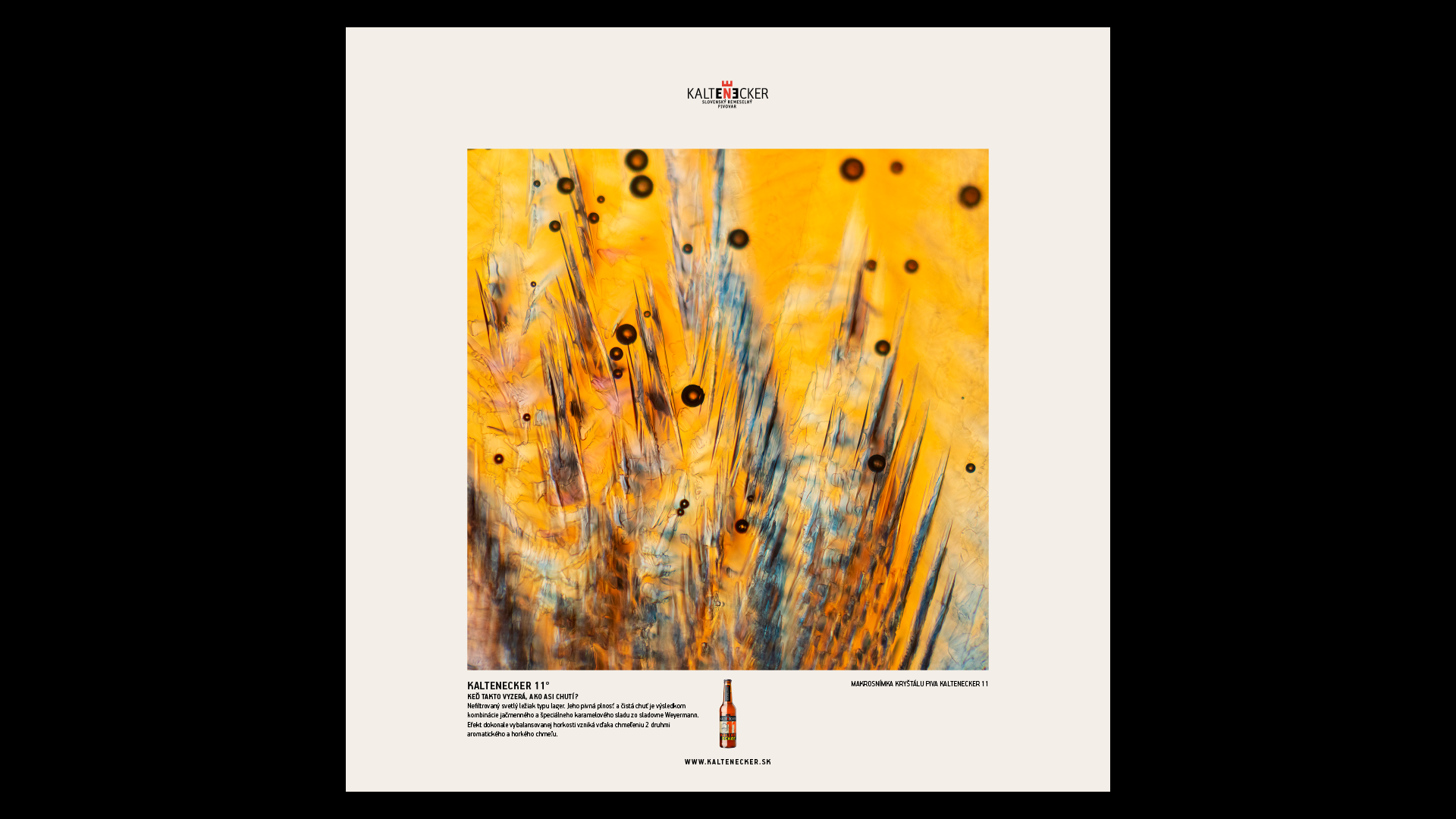 kaltenecker-galeria-chuti-cs-obraz-11-1659620242.png