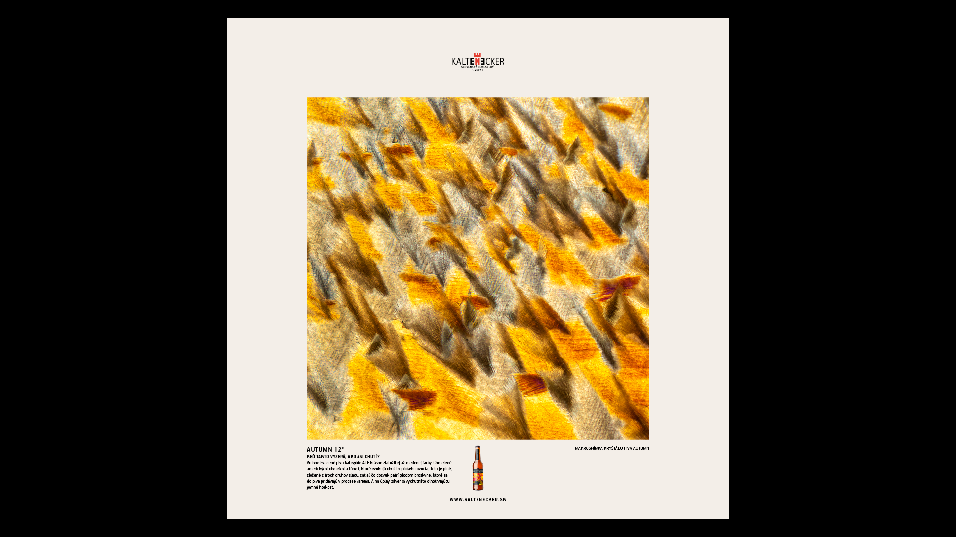 kaltenecker-galeria-chuti-cs-obraz-autumn-1659620244.png
