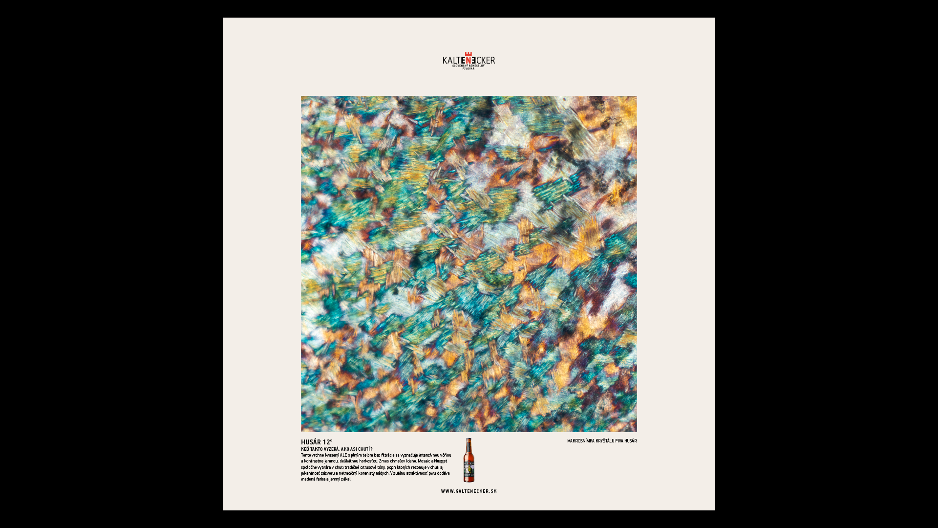 kaltenecker-galeria-chuti-cs-obraz-husar-1659620954.png