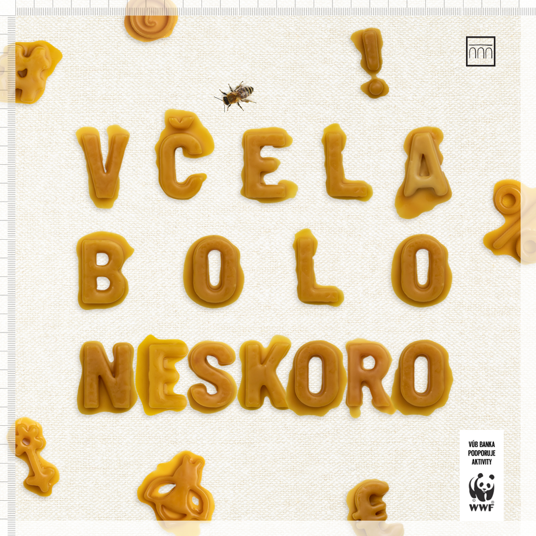 vcela-bolo-neskoro.jpg
