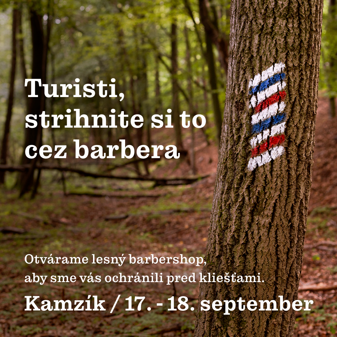 vizual-stvorec_1.png