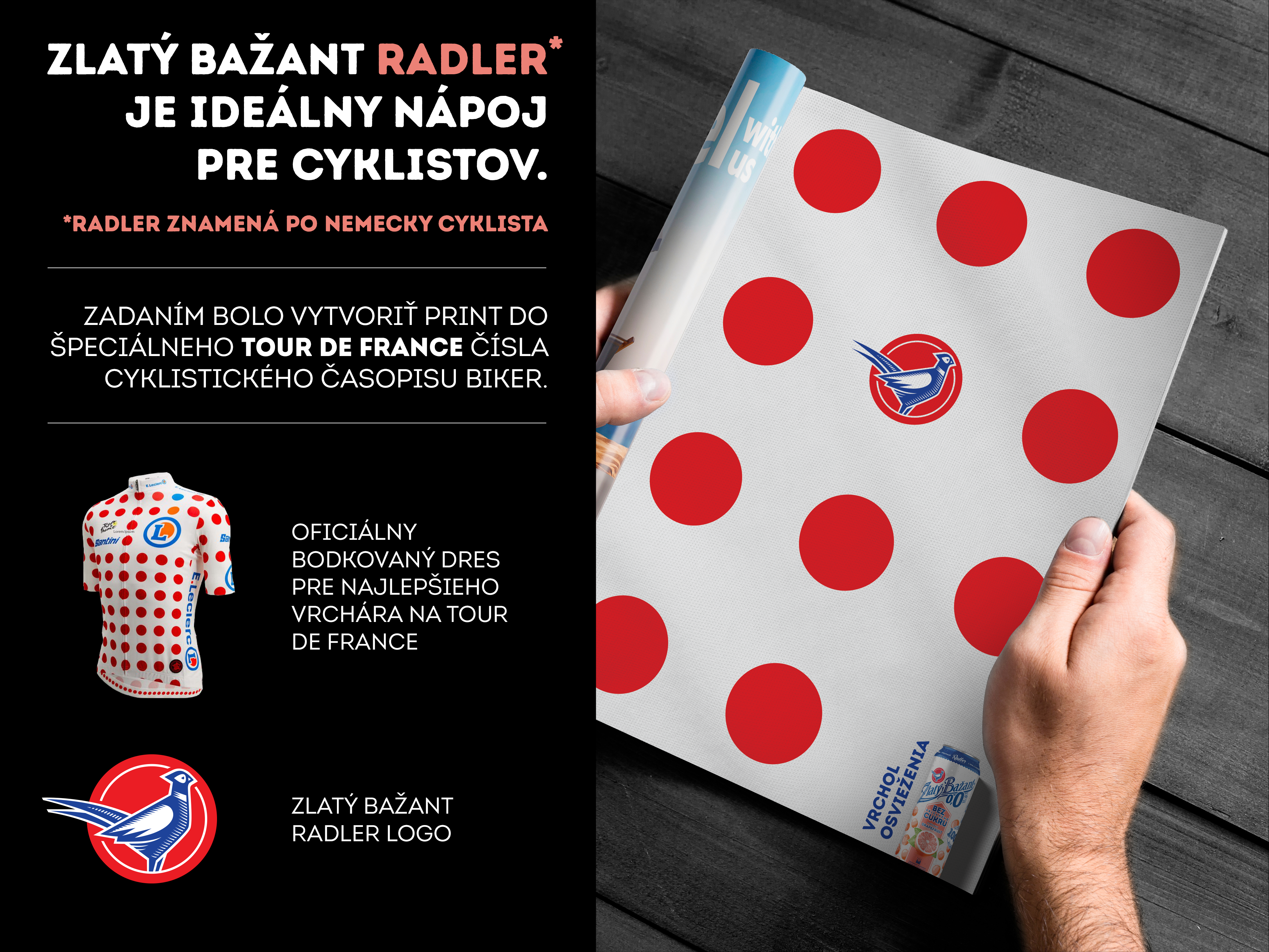 bazant-tdf-board-sk.png