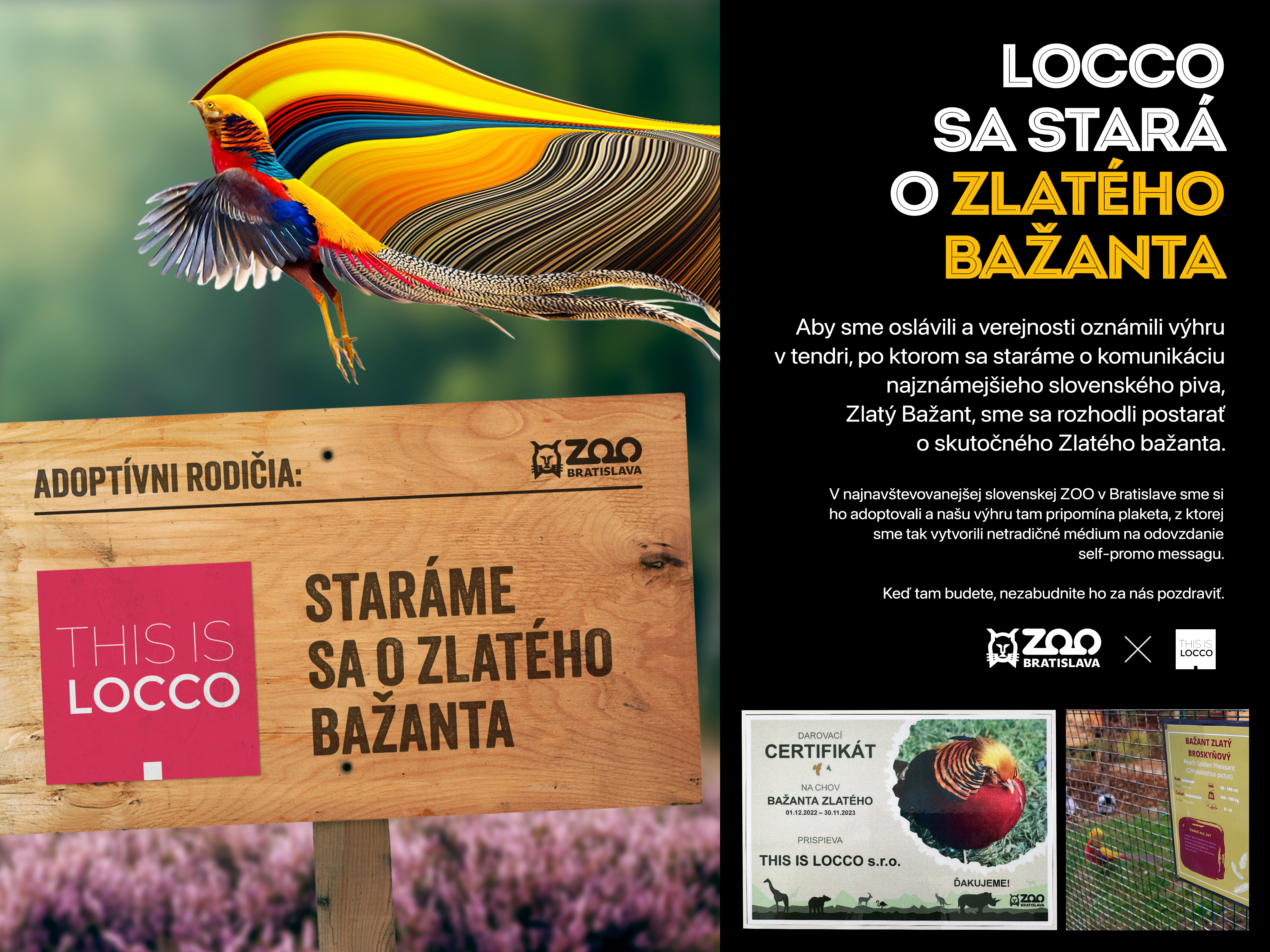 bazant-zoo-board-sk.png