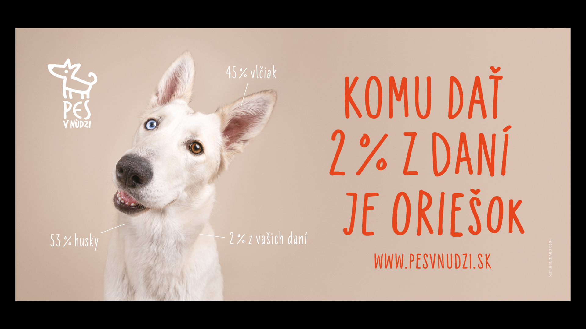 zk_25_pes_v_nudzi_bb_1.png