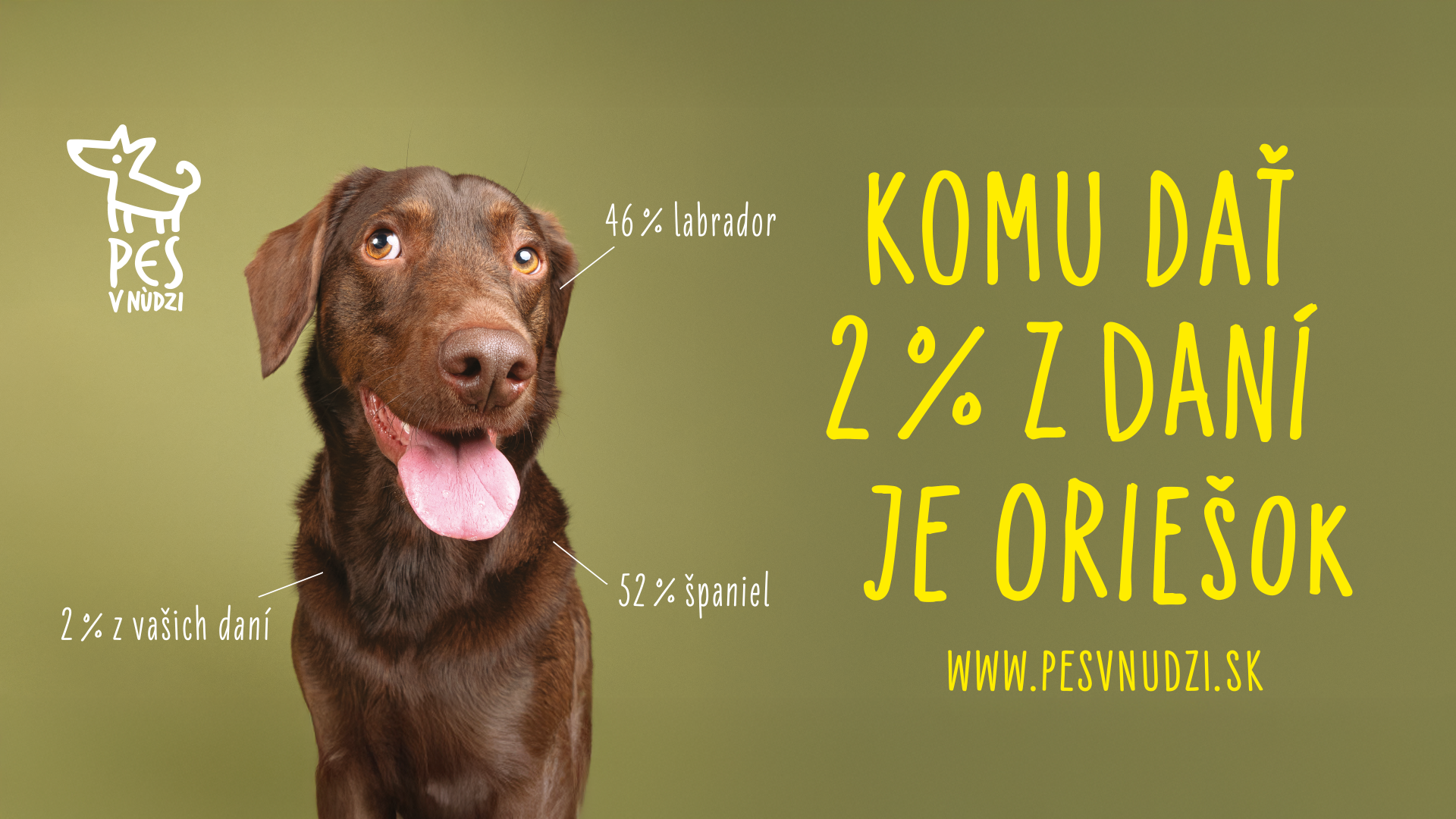 zk_25_pes_v_nudzi_sirka_2.png