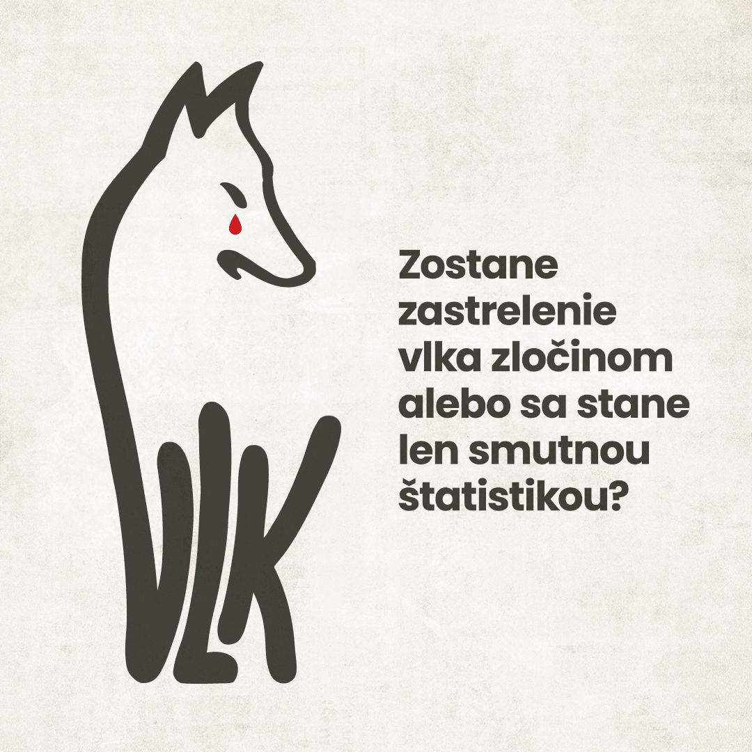slza-v-logu-vizual.png